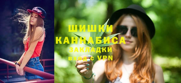 ПСИЛОЦИБИНОВЫЕ ГРИБЫ Алзамай