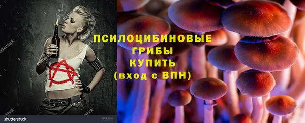 ПСИЛОЦИБИНОВЫЕ ГРИБЫ Алзамай