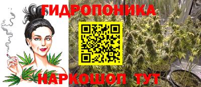 apvp Ливны