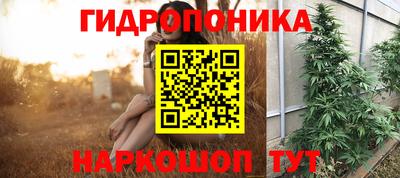 дурь Лесосибирск