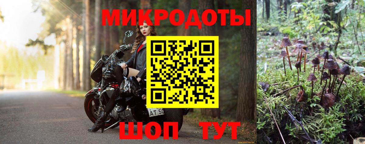 Псилоцибиновые грибы мицелий  Вход с VPN  Псилоцибиновые грибы Magic Shrooms  Сунжа 