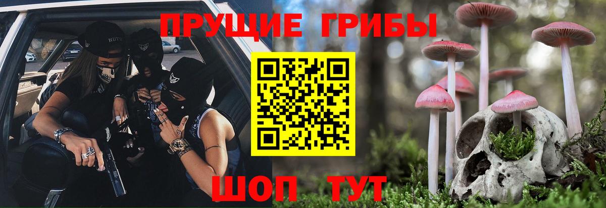 Псилоцибиновые грибы ЛСД Сунжа